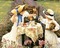child tea party bp - 免费PNG 动画 GIF