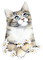 chats - GIF animado grátis