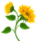 sunflowers Bb2 - png grátis Gif Animado