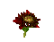 Цветок - Bezmaksas animēts GIF animēts GIF