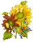 sun flower - GIF animasi gratis GIF animasi