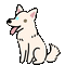 White Wolf - GIF animasi gratis GIF animasi
