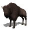 aze bison marron Brown s34 - GIF animé gratuit GIF animé