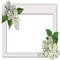 frame cadre flowers - бесплатно png анимированный гифка