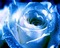 ROSE BLEUE - Free PNG Animated GIF