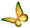 dulcineia8 borboletas - бесплатно png анимированный гифка