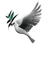 colombe - Darmowy animowany GIF animowany gif