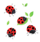 Kaz_Creations Ladybugs Ladybug - бесплатно png анимированный гифка