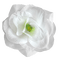Flower - darmowe png animowany gif