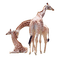 girafe - фрее пнг анимирани ГИФ