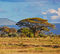 Rena Savanne Afrika - ücretsiz png animasyonlu GIF