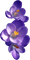 Kaz_Creations Deco Flowers Flower  Purple - zadarmo png animovaný GIF