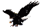 aigle - Darmowy animowany GIF animowany gif