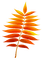 Kaz_Creations Autumn Fall Leaves Leafs - png gratuito GIF animata