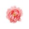 kikkapink deco scrap pink flower - nemokama png animuotas GIF