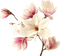 flores primavera dubravka4 - бесплатно png анимированный гифка