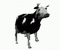 vaca baile - Бесплатный анимированный гифка