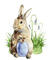 Easter bunny watercolor sunshine3 - png grátis Gif Animado
