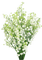 flowers lily of the valley bp - zdarma png animovaný GIF