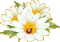 minou-glitter-flower-white-gold - Animovaný GIF zadarmo animovaný GIF