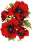 soave deco flowers branch poppy red - 無料png アニメーションGIF