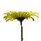 yellow flower animated - Darmowy animowany GIF animowany gif