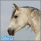 chevaux - Zdarma animovaný GIF animovaný GIF
