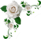 white roses Bb2 - PNG gratuit GIF animé