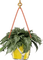 Blumenampel - Free PNG Animated GIF