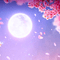 Y.A.M._Spring Fantasy Night, moon background - PNG gratuit GIF animé
