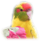 patymirabelle perroquets - ilmainen png animoitu GIF