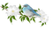 dolceluna spring bird flower - PNG gratuit GIF animé