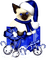 Christmas.Cat.Black.White.Blue - KittyKatLuv65 - Free PNG Animated GIF