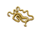 yellow land planarian flatworm - bezmaksas png animēts GIF