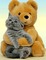 Teddy, Katze - PNG gratuit GIF animé