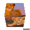 Cube du roi lion - Gratis animerad GIF animerad GIF