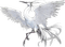 crane birds bp - zadarmo png animovaný GIF