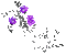 soave deco animated branch flowers black white - Δωρεάν κινούμενο GIF κινούμενο GIF
