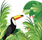 loly33 oiseaux tropical - png grátis Gif Animado