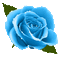 dolceluna animated glitter blue rose spring - Free animated GIF Animated GIF