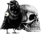 gothic crow by nataliplus - безплатен png анимиран GIF