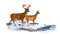 BAMBI - 免费PNG 动画 GIF