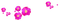 Kaz_Creations Rose Pink Deco Scrap - darmowe png animowany gif