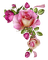 vintage pink roses corner sunshine3 - PNG gratuit GIF animé