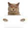 Nina cat - Безплатен анимиран GIF анимиран GIF