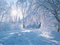 зимний день - Ilmainen animoitu GIF animoitu GIF