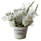 white flowers - png gratis GIF animasi