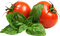 tomaten milla1959 - 免费PNG 动画 GIF