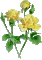 yellow flowers2 -Nitsa Papakon - GIF animé gratuit GIF animé