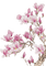 pink tree branch flowers - PNG gratuit GIF animé